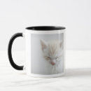 Buscar felino tazas botellas Amantes del gato