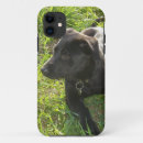 Buscar pastor blackberry fundas Gsd