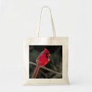 Buscar cardenales accesorios Cardenal del norte