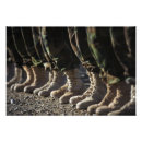 Buscar afganistán fotografía Ejército