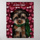 Buscar poo posters Terriers de yorkshire