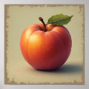 Buscar nectarine 8 º fruta