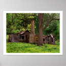 Buscar apalache fotografía Bosque