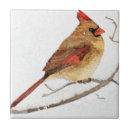 Buscar sexo azulejos Para todos