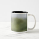 Buscar botswana tazas Al aire libre