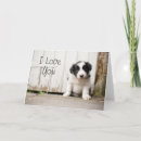 Buscar collie tarjetas Perrito