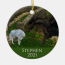 Buscar dragones adornos Dragón