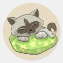 Buscar gatito siamés pegatinas Animal