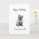 Buscar perro blanco negro postales Animales lindos