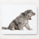 Buscar perritos alfombrillas de raton Animales domésticos