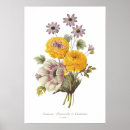 Buscar vintage botanical arte Flower