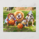 Buscar invitaciones de halloween postales Divertido