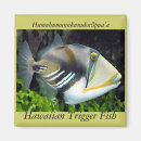 Buscar large imanes Tropical