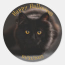 Buscar gato malvado pegatinas Vintage