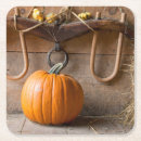 Buscar museo posavasos Danita delimont