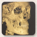 Buscar skull posavasos Skeleton