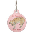 Buscar original collares Perros