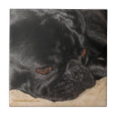 Buscar triste azulejos Lindo