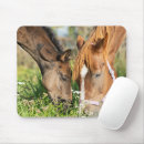Buscar horse alfombrillas de raton Animales