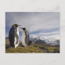 Buscar la antártida postales Azul