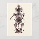 Buscar anatomía postales 9 º oscilación