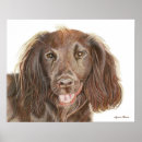 Buscar canino posters Animal