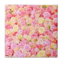 Buscar el amazonas azulejos Amazón