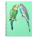 Buscar parakeet oficina escuela Ave