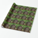 Buscar orangutanes papel de regalo Orangután