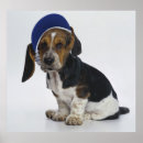 Buscar visera posters Gorra