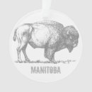 Buscar bisonte adornos Canadá