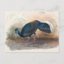 Buscar respaldo postales Animales