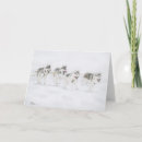 Buscar perros de trineo tarjetas Siberiano