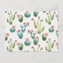 Buscar modelo rosado postales Cactus