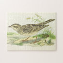 Buscar aspecto puzzles General y unisex