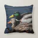 Buscar patos silvestres cojines Charca