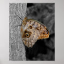 Buscar marrón y blanco posters Para ella