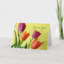 Buscar tulips tarjetas Tulipán