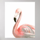 Buscar pink flamingo arte Bird