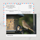 Buscar pluma de pájaro postales Naturaleza