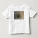 Buscar aureola camisetas Aureole