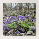 Buscar el despertar puzzles Flores