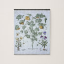 Buscar amapolas amarillas puzzles Amarillo