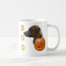 Buscar rhodesian del ridgeback Raza