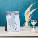Buscar caballo blanco placas fotograbadas Superstock