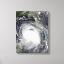 Buscar katrina arte Espacio