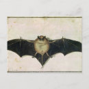 Buscar durer postales Animales