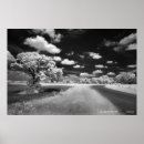 Buscar perseguido posters Fantasma