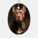 Buscar staffordshire bull terrier adornos Navidades