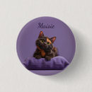 Buscar kitten chapas Felino